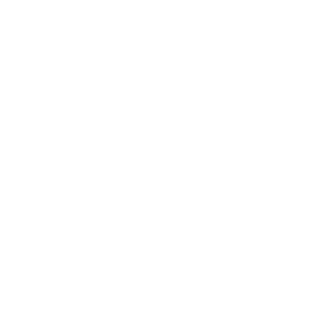 system it consultance